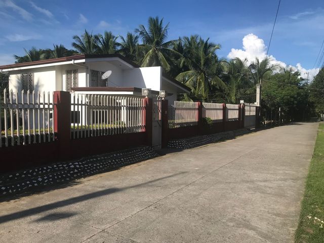 place photo 34