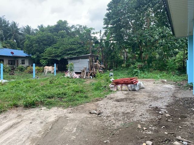 place photo 21