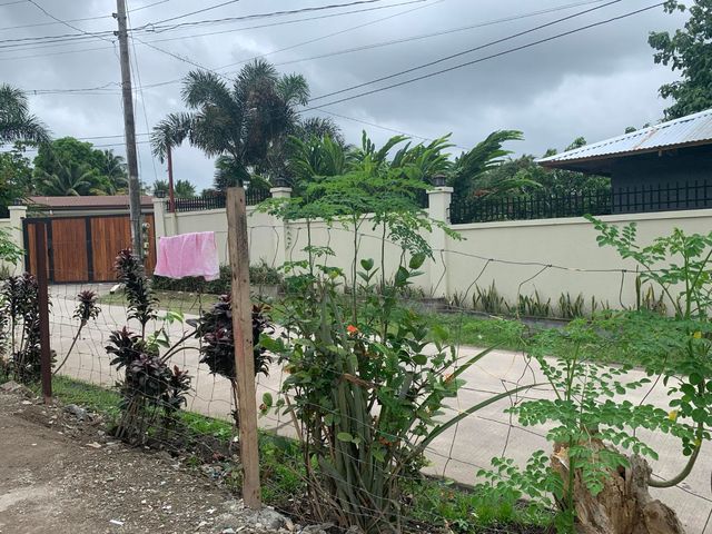 place photo 18
