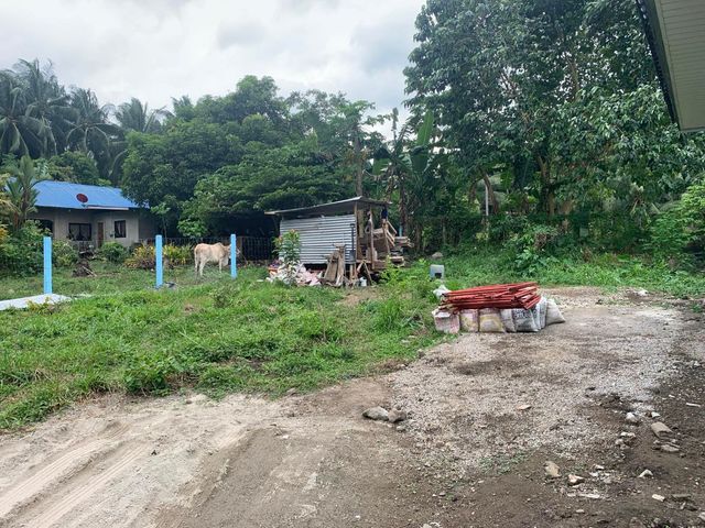 place photo 20