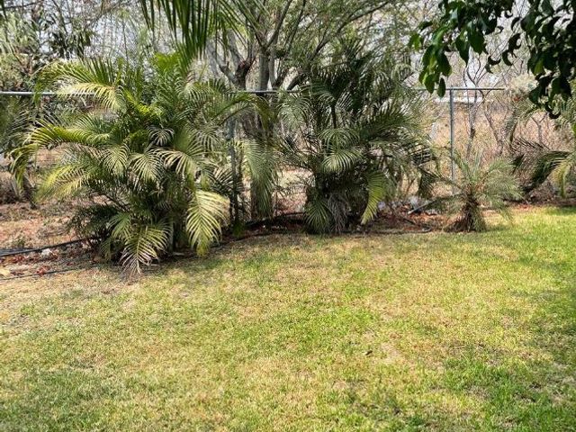 place photo 17