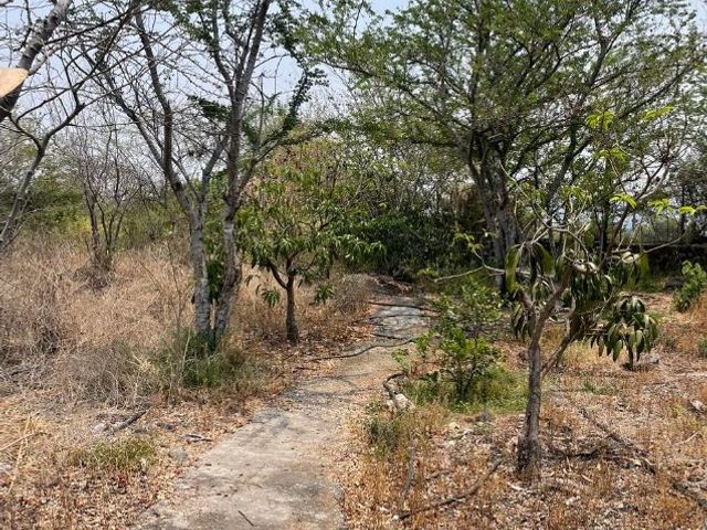place photo 27