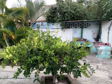 place photo 15