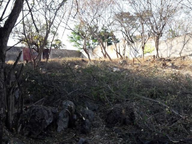 place photo 19