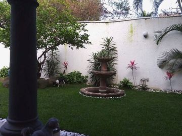 place photo 46