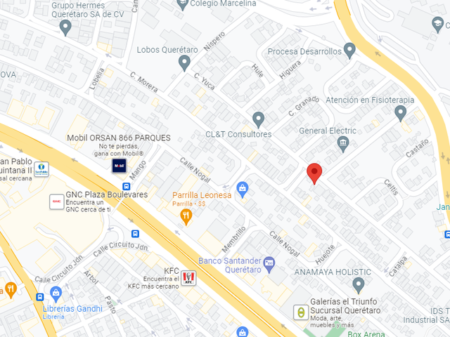 place photo 12