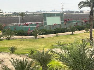 place photo 7