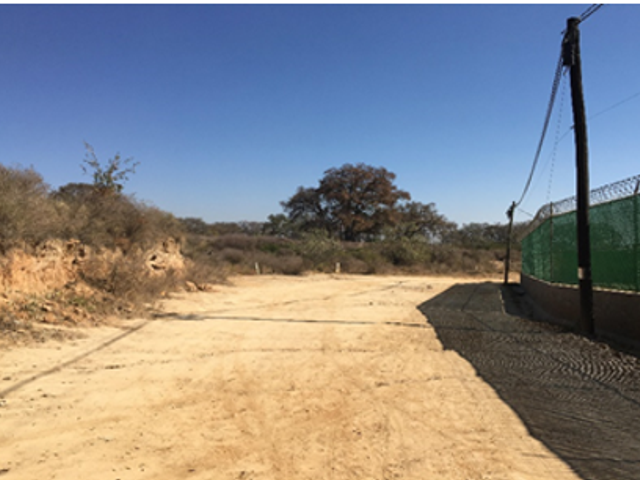 place photo 19