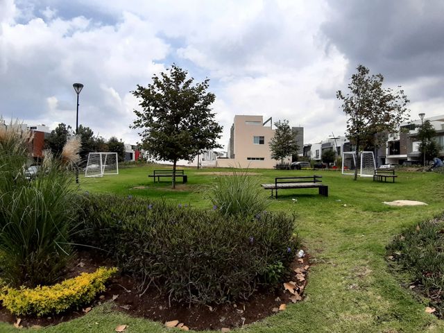 place photo 33