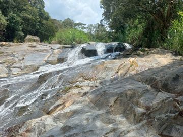place photo 26
