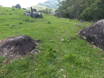 place photo 52