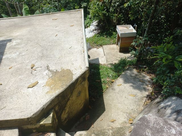 place photo 40