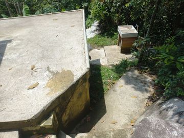 place photo 40
