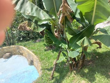place photo 42