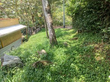 place photo 44