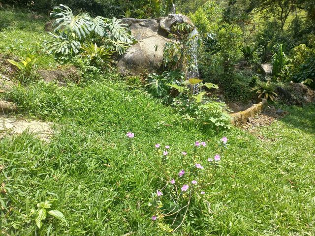 place photo 45