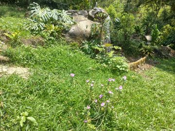 place photo 45