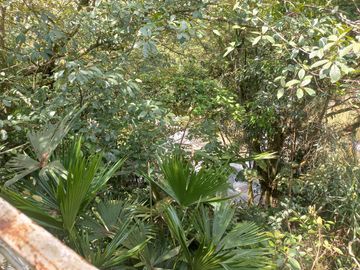 place photo 47