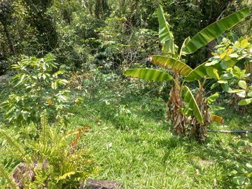 place photo 49
