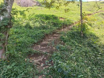place photo 50