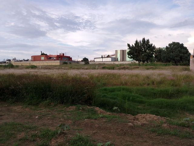 place photo 16