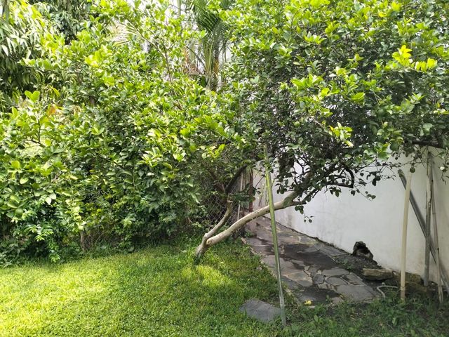 place photo 36