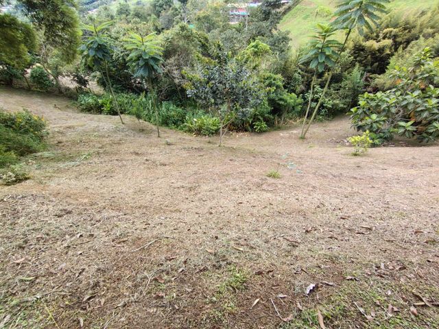 place photo 45