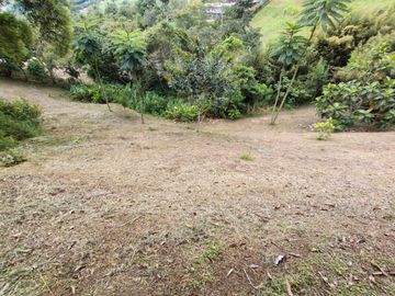place photo 45