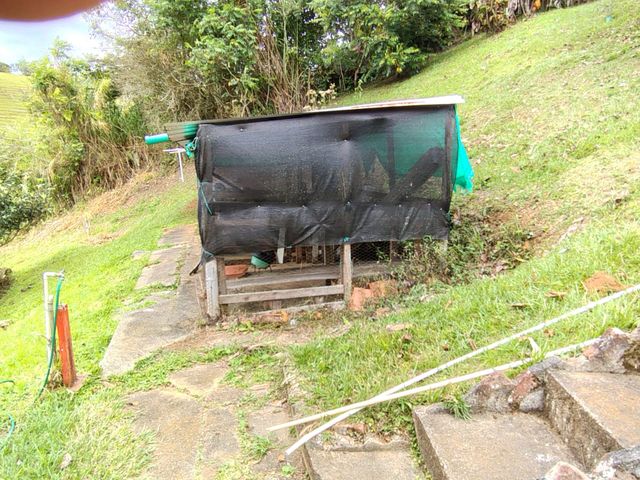 place photo 49