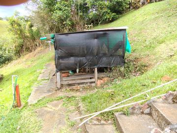 place photo 49