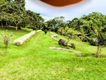 place photo 38