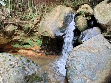 place photo 41