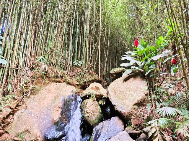 place photo 42