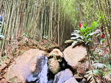 place photo 42