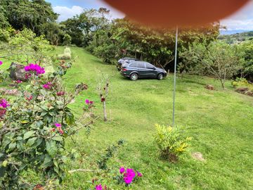place photo 46