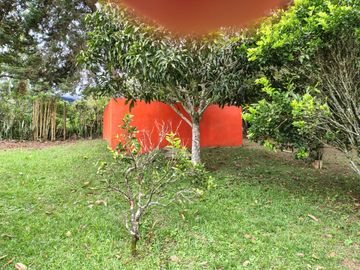place photo 52