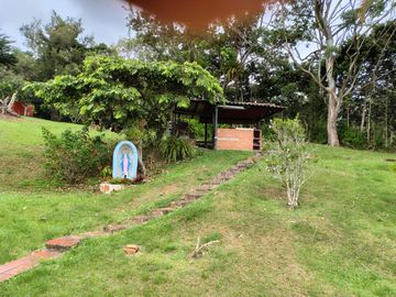 place photo 50