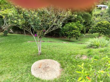 place photo 55