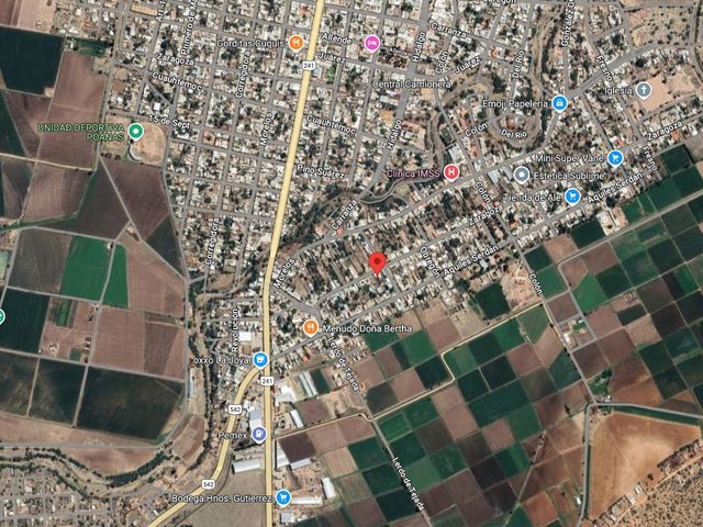 place photo 12