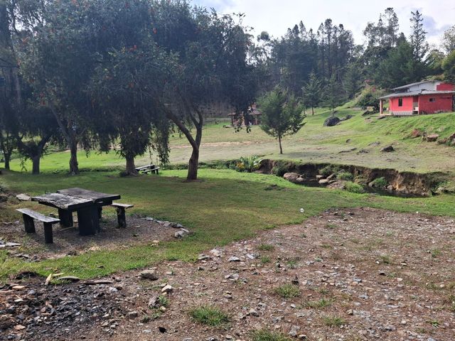 place photo 38