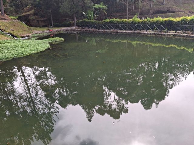 place photo 41