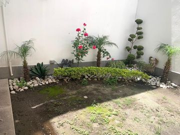 place photo 24