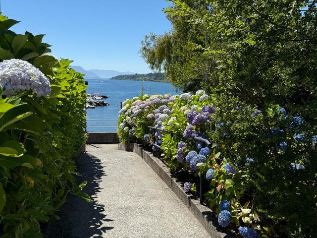 place photo 43