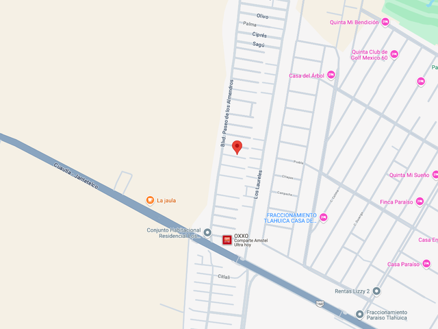 place photo 11
