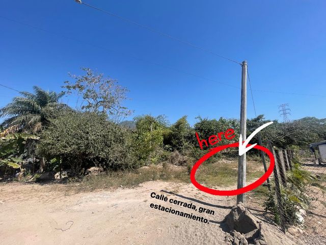 place photo 12