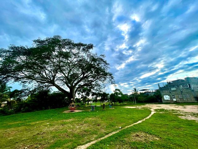place photo 5