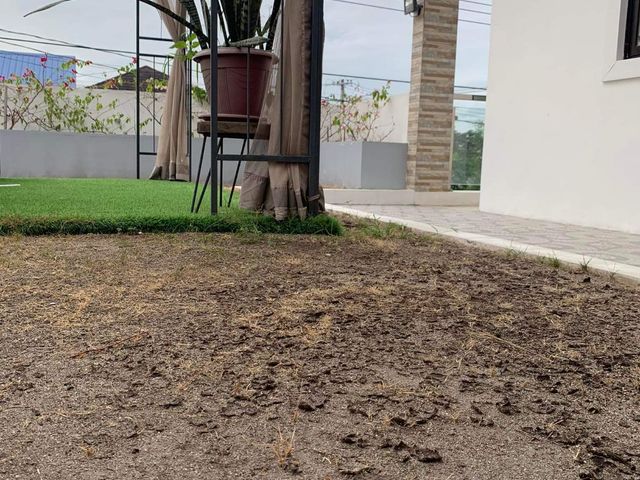 place photo 44