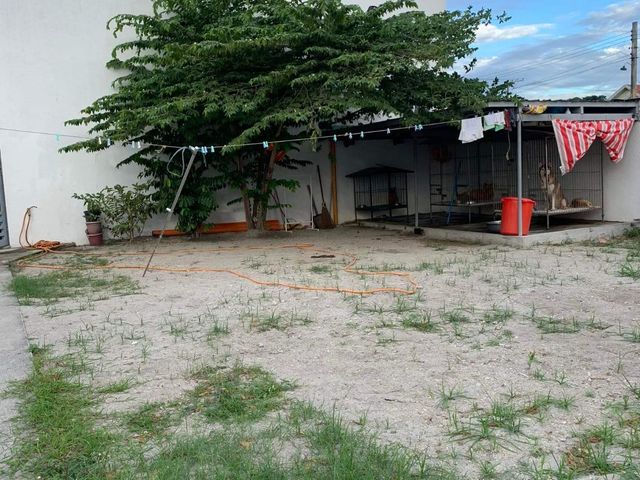 place photo 60