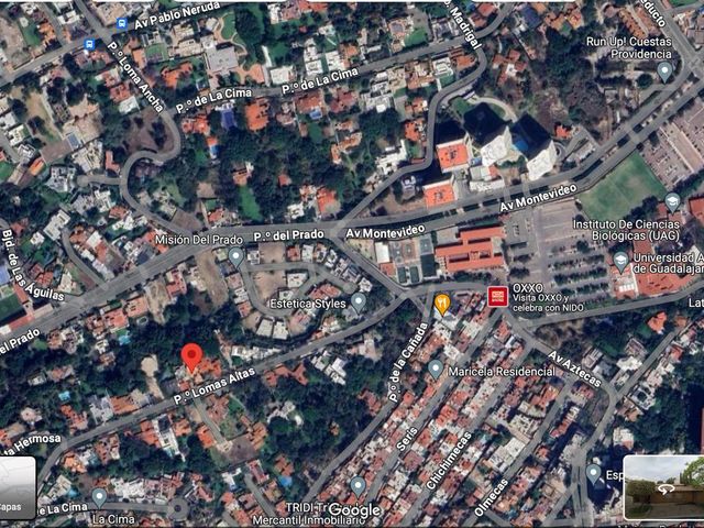 place photo 29