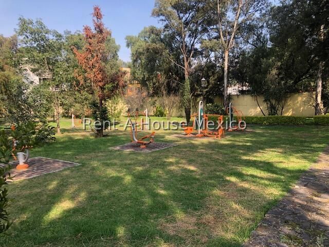 place photo 39